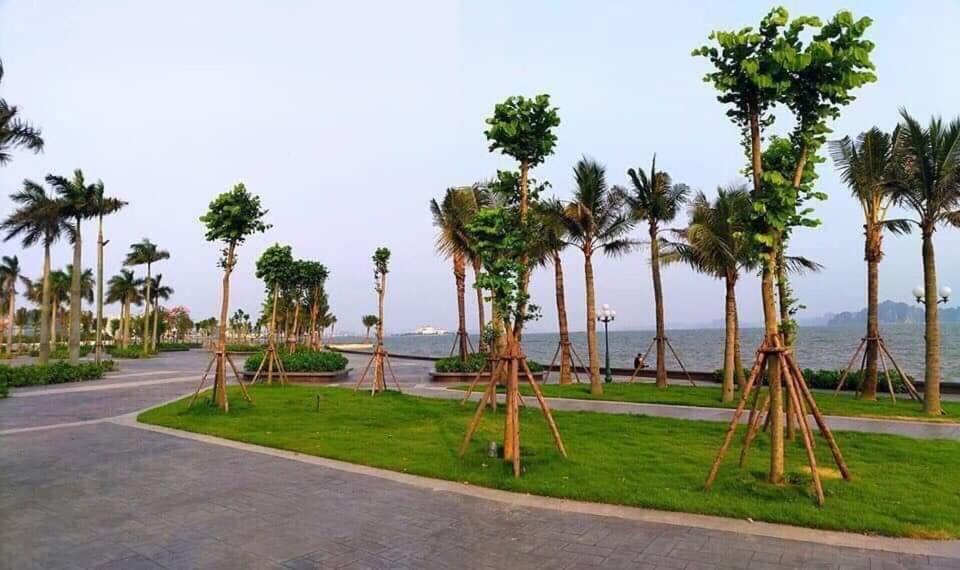Sonny Homestay 2 -Can Lien Ke 5Pn -Khu Greenbayvillage - Duong Hoang Quoc Viet -Trung Tam Kdl Bai Chay ها لونغ المظهر الخارجي الصورة